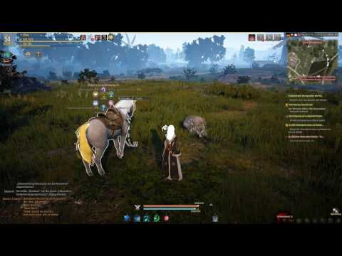 bdo fast travel quest